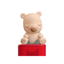 Sleepy Bear Night Light