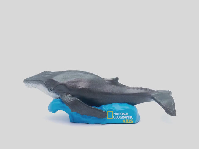 National Geographic Kids: Whale Tonie 360 Rotation Image
