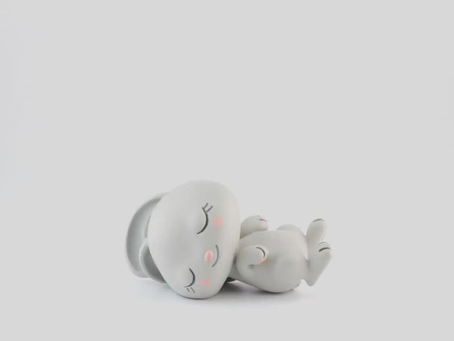 Sleepy Rabbit: Classical Music from the Sleepy Forest 360 Rotation Image